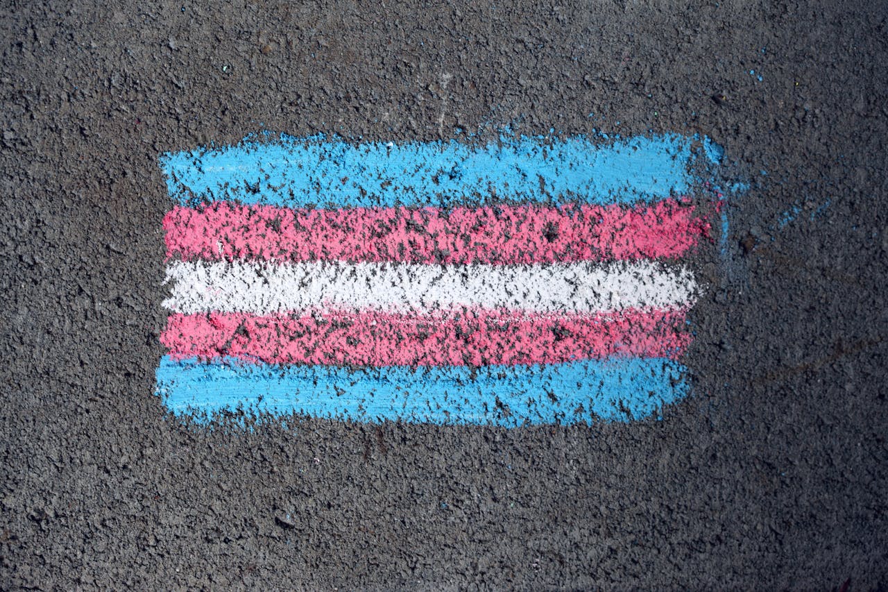 home-img Close-up of a transgender pride flag chalk drawing on rough pavement surface.